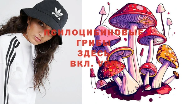 спайс Карталы