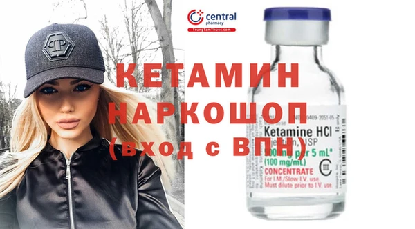 сатива Новокубанск