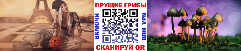 нарко площадка как зайти  Касли  Псилоцибиновые грибы ЛСД  блэк спрут как войти 